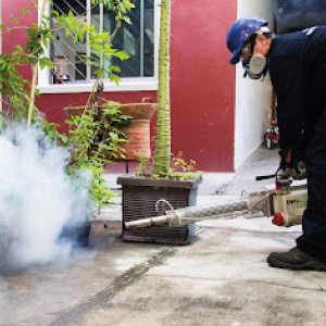 Fumigación Maxi Fun en La Piedad de Cavadas Michoacán Serviciodefumigacion.com.mx Maxi Fun