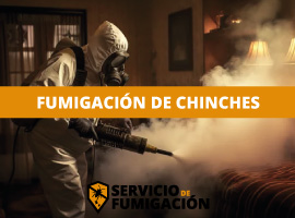 Servicio de Fumigación Residencial al Mejor Precio Fumigadores de Chinches de Cama