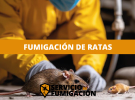 Servicio de Fumigación Residencial al Mejor Precio Fumigación de Ratones
