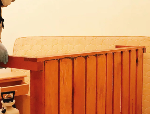 Servicio de Fumigación Residencial al Mejor Precio Servicio 6 en