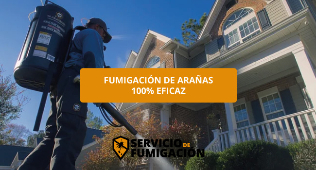 Servicio de Fumigación de Arañas en Residencia u Oficinas en serviciodefumigacion.com.mx